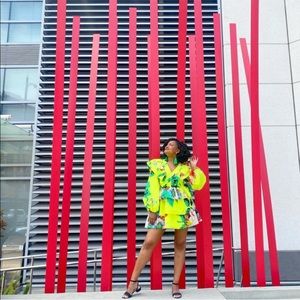 Christopher John Rogers Long-Sleeve Mini Dress
